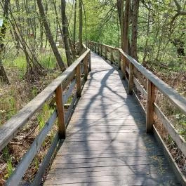 Tatai Fényes tanösvény Tata - Külső kép