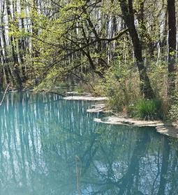 Tatai Fényes tanösvény