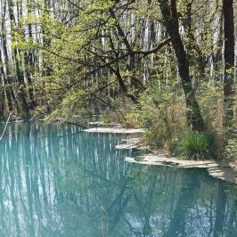 Tatai Fényes tanösvény Tata - Külső kép