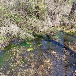 Tatai Fényes tanösvény Tata - Külső kép