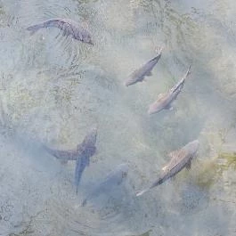 Tatai Fényes tanösvény Tata - Külső kép