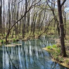 Tatai Fényes tanösvény Tata - Külső kép