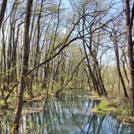 Tatai Fényes tanösvény Tata - Külső kép