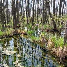 Tatai Fényes tanösvény Tata - Külső kép