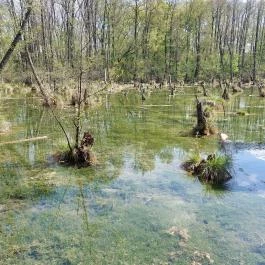 Tatai Fényes tanösvény Tata - Külső kép