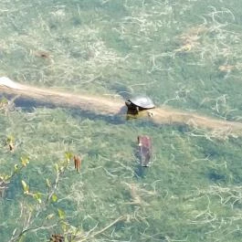 Tatai Fényes tanösvény Tata - Külső kép