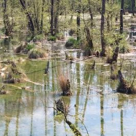 Tatai Fényes tanösvény Tata - Külső kép