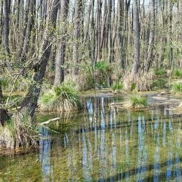 Tatai Fényes tanösvény Tata - Külső kép