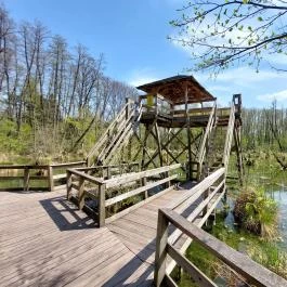 Tatai Fényes tanösvény Tata - Külső kép