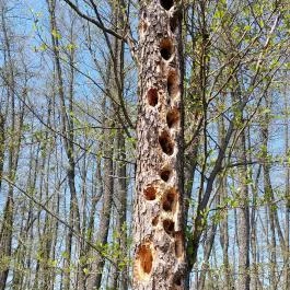 Tatai Fényes tanösvény Tata - Egyéb