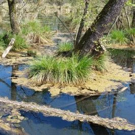 Tatai Fényes tanösvény Tata - Külső kép
