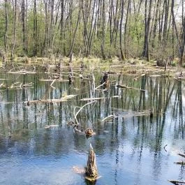 Tatai Fényes tanösvény Tata - Külső kép