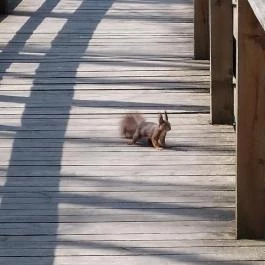 Tatai Fényes tanösvény Tata - Külső kép