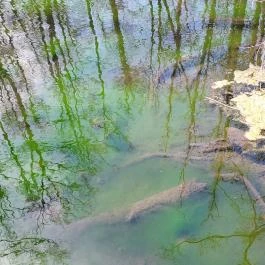 Tatai Fényes tanösvény Tata - Külső kép