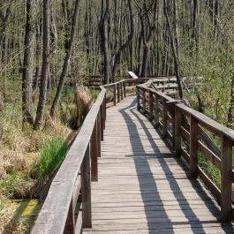 Tatai Fényes tanösvény Tata - Külső kép