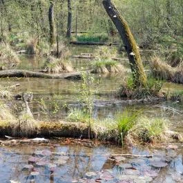 Tatai Fényes tanösvény Tata - Külső kép