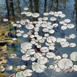Tatai Fényes tanösvény Tata - Külső kép