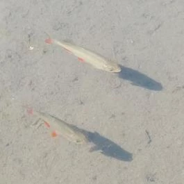 Tatai Fényes tanösvény Tata - Egyéb