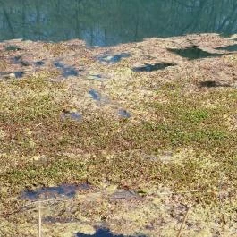 Tatai Fényes tanösvény Tata - Külső kép