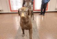 Teiresziász szobor - látássérült & kutyája Budapest