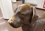 Teiresziász szobor - látássérült & kutyája Budapest