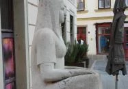 Tejfölös kofa Győr