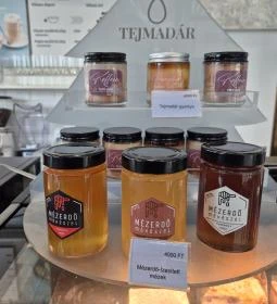 Tejmadár - Etele plaza, Budapest