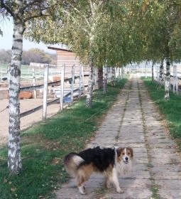 Tekeresvölgyi Manufaktúra