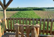 Telekhegyi kilátó Nyírmártonfalva