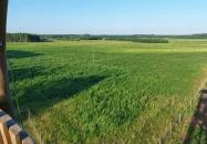 Telekhegyi kilátó Nyírmártonfalva