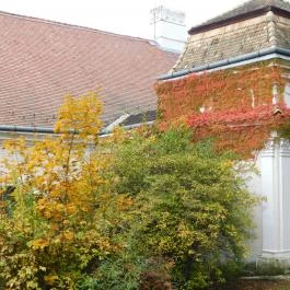 Teleki-Degenfeld Kastélyszálló Szirák - Külső kép