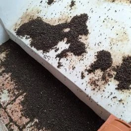 Teleki Református templom Teleki - Egyéb