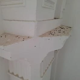 Teleki Református templom Teleki - Egyéb