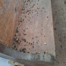 Teleki Református templom Teleki - Egyéb