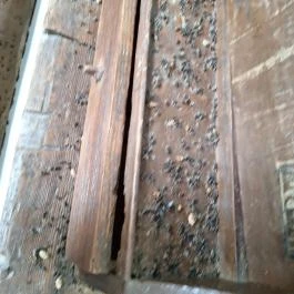 Teleki Református templom Teleki - Egyéb