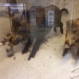 Telkibányai Helytörténeti Kiállítás Telkibánya - Egyéb