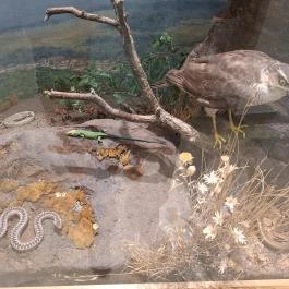 Telkibányai Helytörténeti Kiállítás Telkibánya - Egyéb