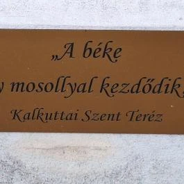 Teréz anya szobra, Szekszárd - Egyéb