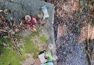 Teréz-forrás Szarvaskő