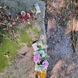 Teréz-forrás, Szarvaskő - Egyéb