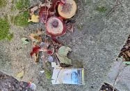 Teréz-forrás Szarvaskő