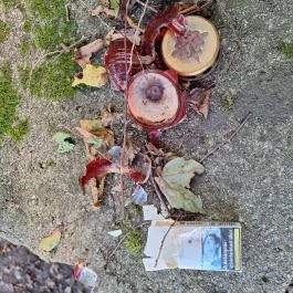 Teréz-forrás, Szarvaskő - Egyéb