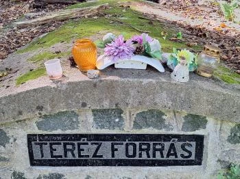 Teréz-forrás Szarvaskő