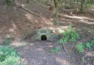 Teréz-forrás Szarvaskő