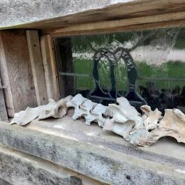 Agostyáni Ökofalu, Agostyán - Egyéb