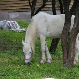 Agostyáni Ökofalu, Agostyán - Egyéb