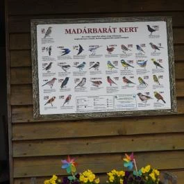 Agostyáni Ökofalu, Agostyán - Egyéb