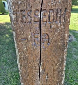 Tessedik-akác