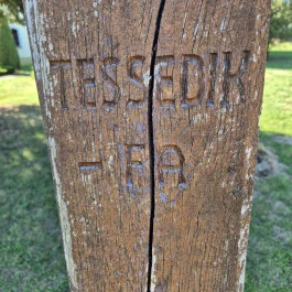 Tessedik-akác Csönge - Külső kép