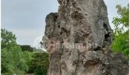 Teve-szikla Pilisborosjenő - Külső kép